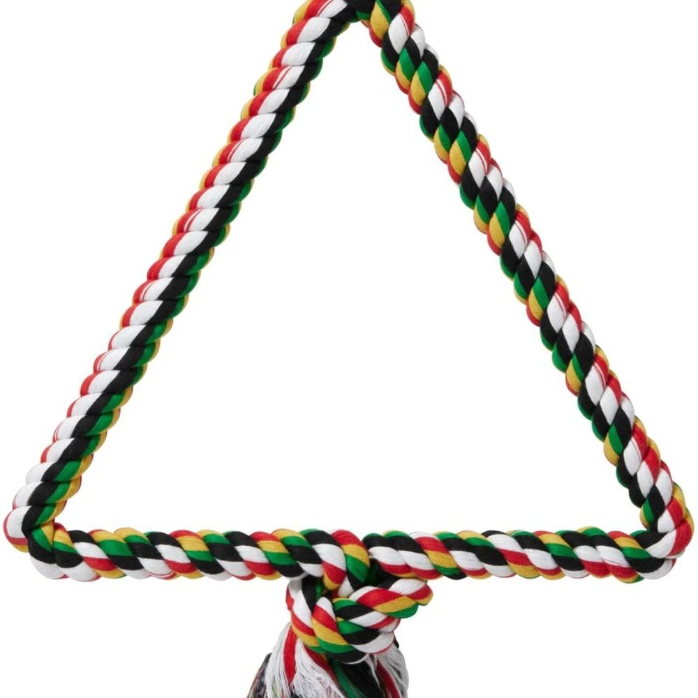 LARGE Triangular Swinging Bird Perch/Swing